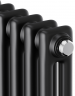 Стальной трубчатый радиатор 2-колончатый Royal Thermo Insignia C2180 - 12 секц. RAL9005m, боковое 1/2