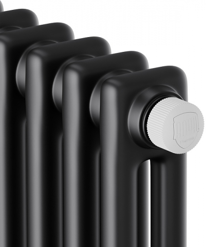 Стальной трубчатый радиатор 2-колончатый Royal Thermo Insignia VC2180 - 10 секц. RAL9005m, нижнее 1/2