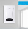 Настенный газовый котел ECA CALORA PREMIX 30 HST NG