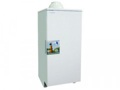 Напольный газовый котел Боринское АОГВ - 29 " MINISIT "